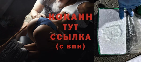 крисы Армянск