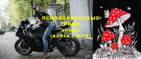 крисы Армянск