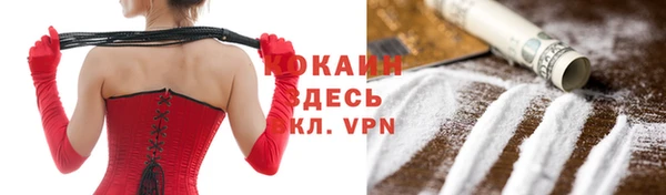 мяу мяу мука Аркадак