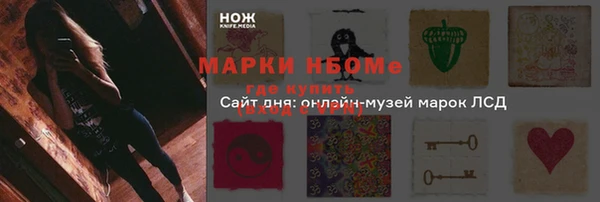 крисы Армянск