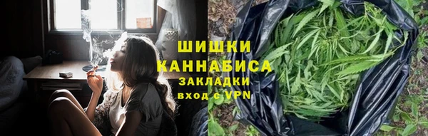 крисы Армянск