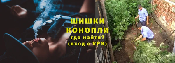 мяу мяу мука Аркадак