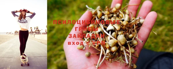 mdma Дмитриев