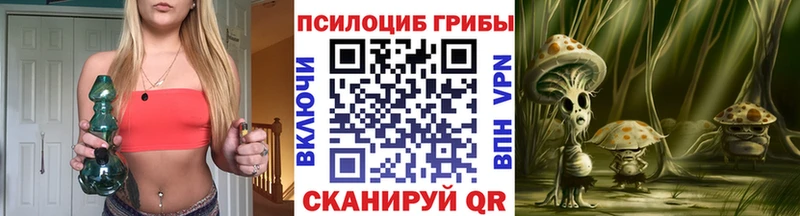 гидра вход  Инсар  Псилоцибиновые грибы Psilocybe 